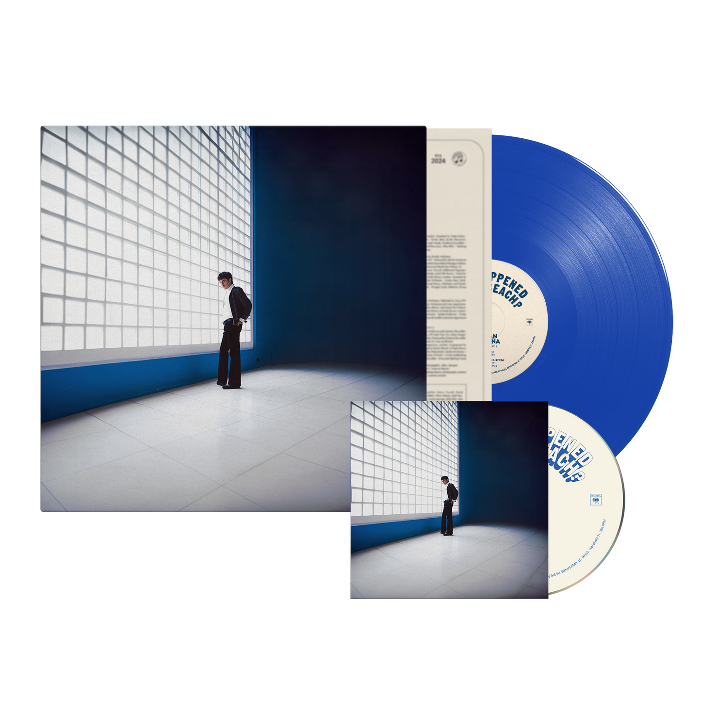 What Happened To The Beach? | Choice Of CD + Choice Of LP