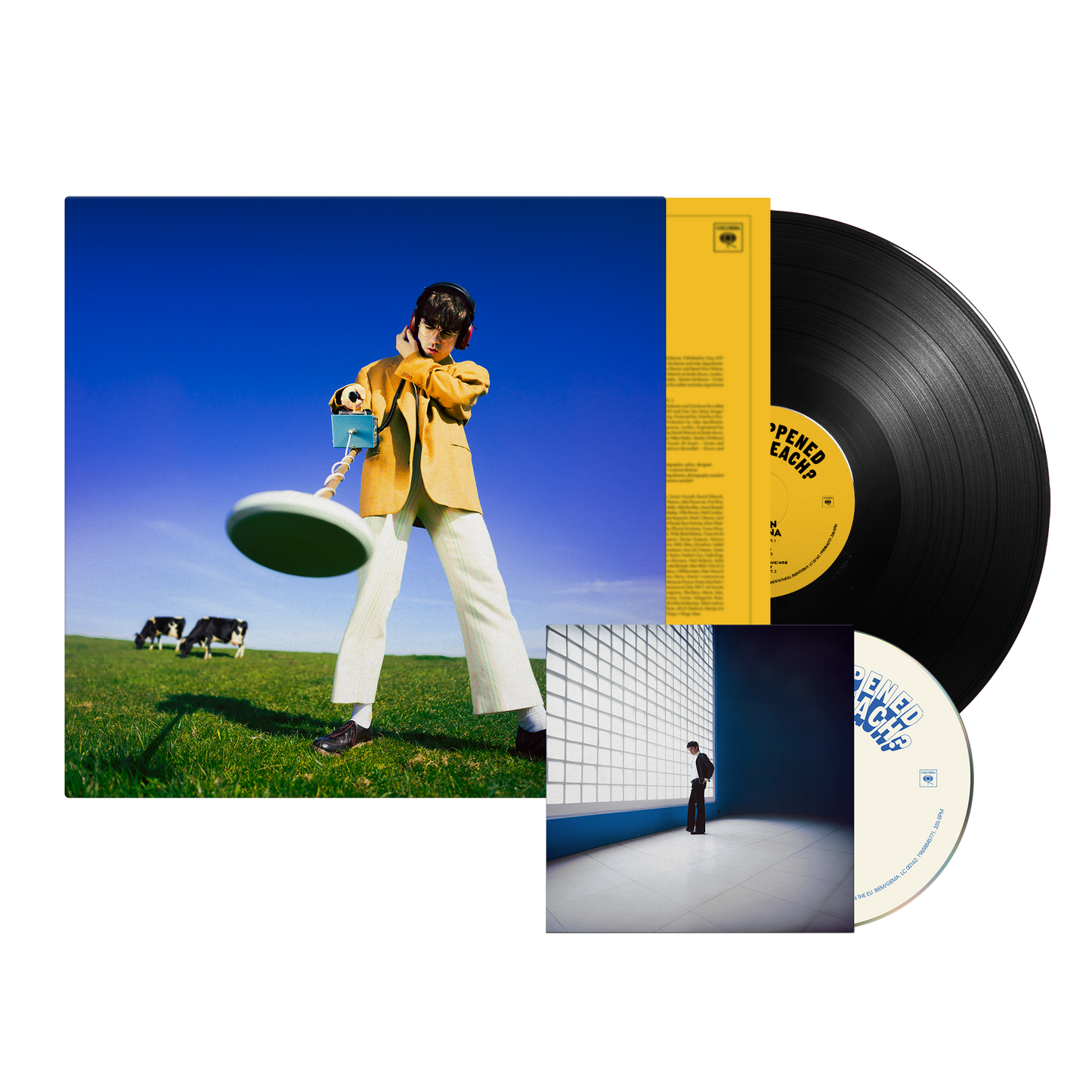 What Happened To The Beach? | Choice Of CD + Choice Of LP