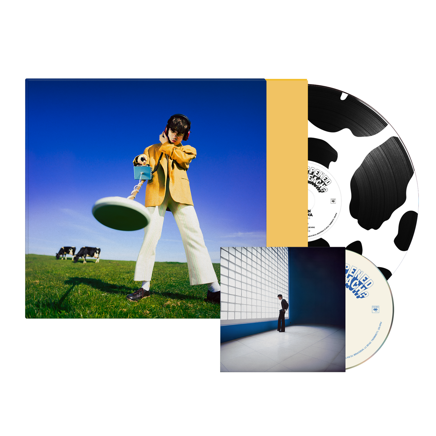 What Happened To The Beach? | Choice Of CD + Choice Of LP