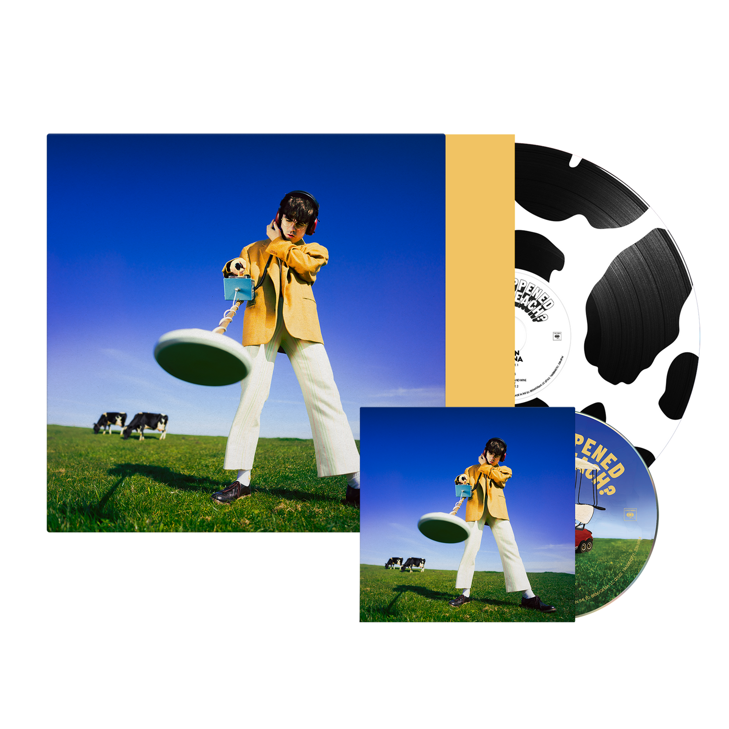 What Happened To The Beach? | Choice Of CD + Choice Of LP